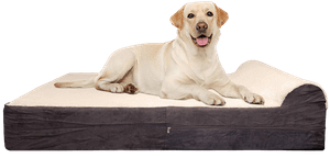 Jumbo XL Orthopedic 7 inch Thick High Grade Memory Foam Dog Bed removebg preview 1