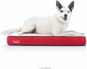 brindle Waterproof Designer Memory Foam Pet Bed