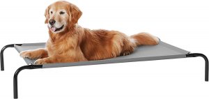 Amazon Basic Cooling Elevated Pet Bed