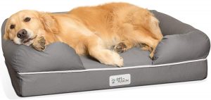 PetFusion Ultimate Pet Bed & Lounge