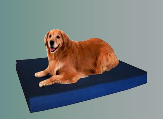 Dog Beds for Anxiety