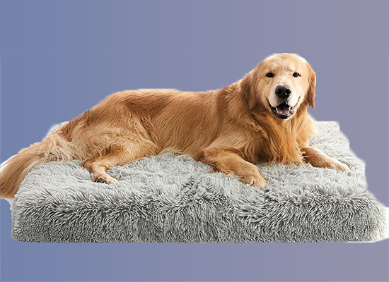best dog beds for crates