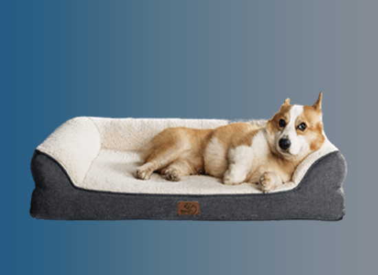 best washable dog bed