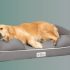 Best 7 Truck Bed Kennels for Dogs