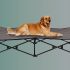 6 Best Washable Dog Beds in 2022 [Editor’s Review]