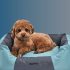 The 9 Best Selling Orthopedic Dog Bed